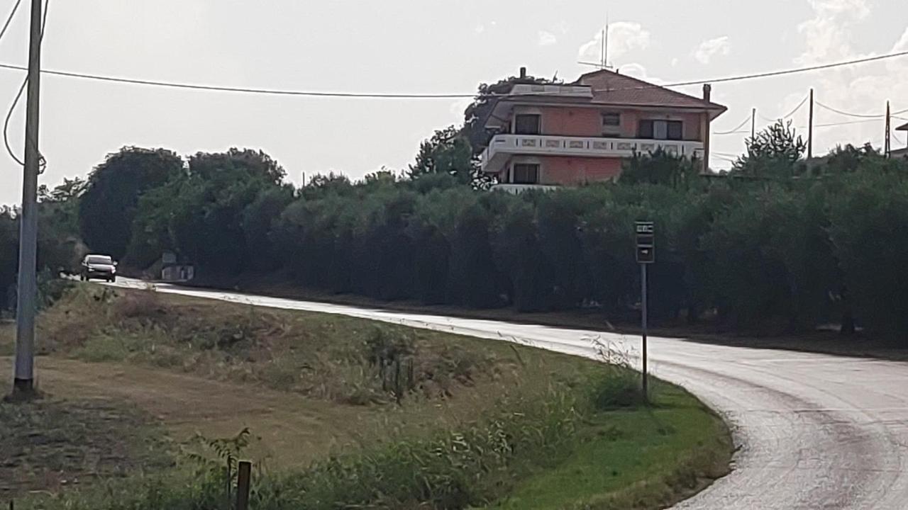 B&B I Tre Ulivi Morro d'Oro Екстер'єр фото