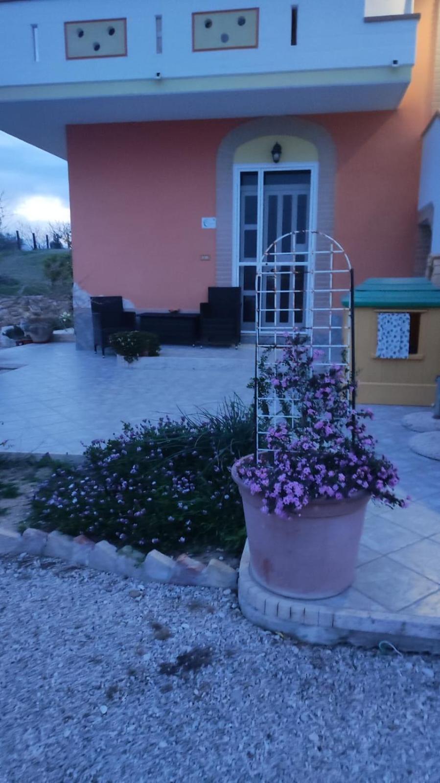 B&B I Tre Ulivi Morro d'Oro Екстер'єр фото