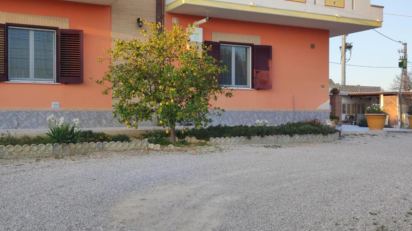 B&B I Tre Ulivi Morro d'Oro Екстер'єр фото